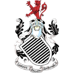 无人能敌！哈兰德五大联赛百球里程碑，仅次莱万同期纪录