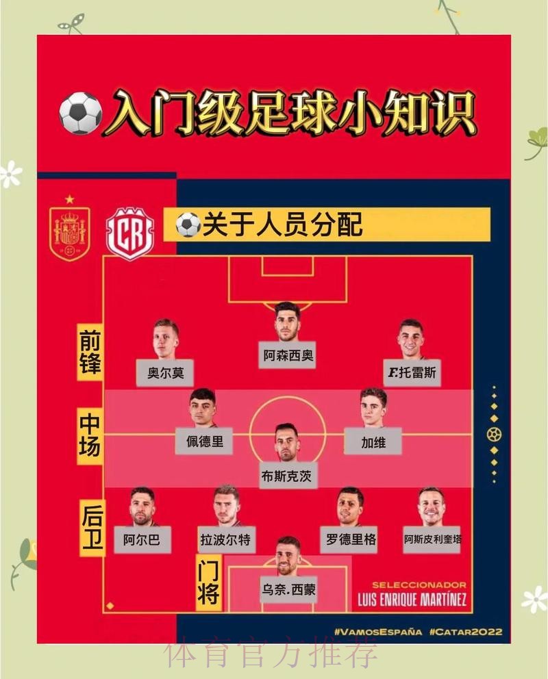 深入了解世界杯让球站的运作机制
